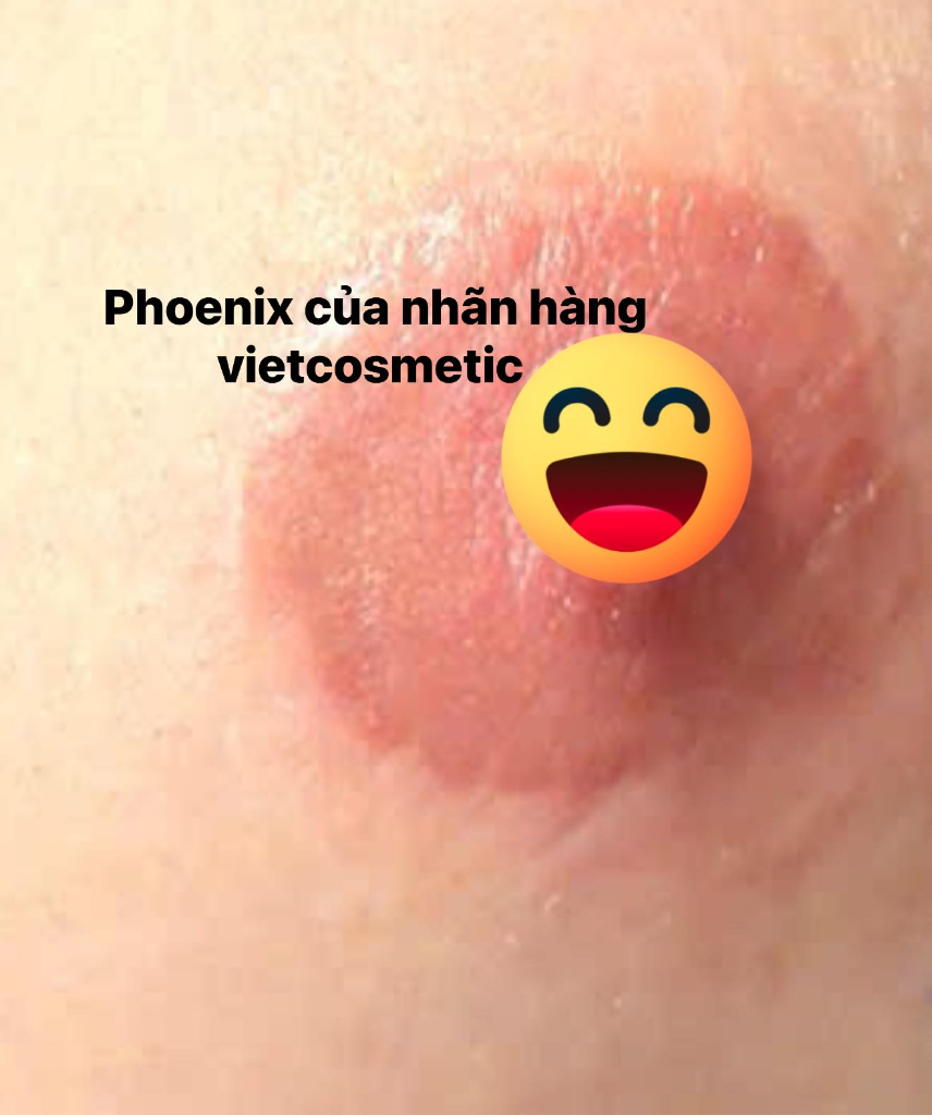 Review Phoenix Vietcosmetic